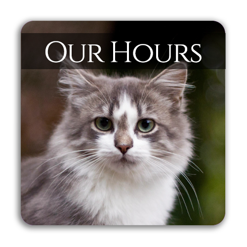 Our Hours